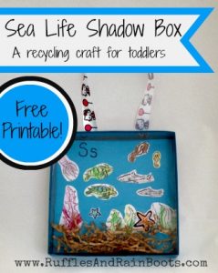 Sea Life Shadow Box — Oh, And Now A Door Hanging