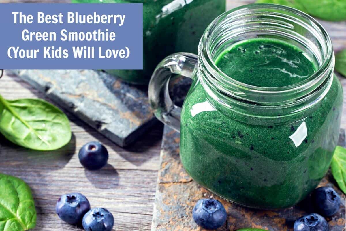 Best Blueberry Smoothie and Smoothie Treats recipe