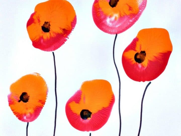 How-to-Paint-Poppies-Poppy-
