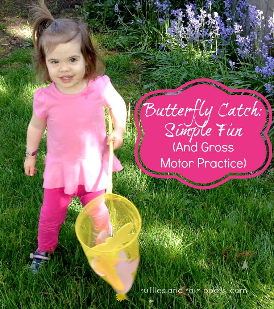butterfly-game-outdoor-fun-summer-game