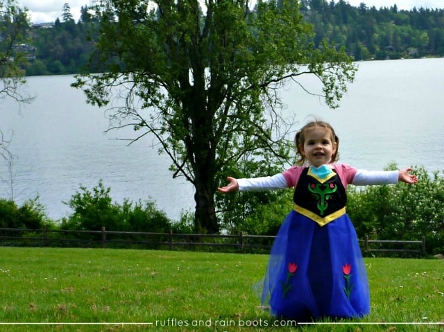 DIY FROZEN Costume Princess Anna Dress Up Apron
