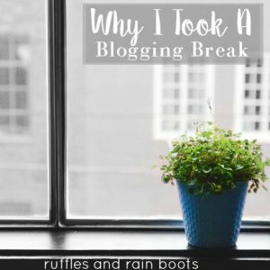 My Blogging Break