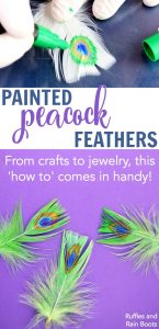 How To Paint Peacock Feathers With Paint Pens