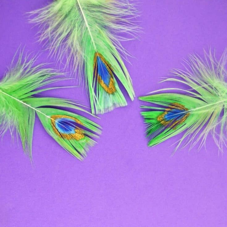 Paint peacock feathers with paint pens Posca crafts