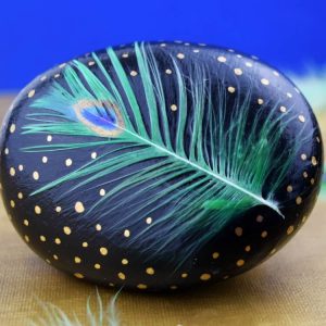 Rock Painting Peacock Feather Rocks