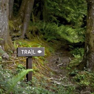 6 of the Best Hiking Trails in Washington for Kids