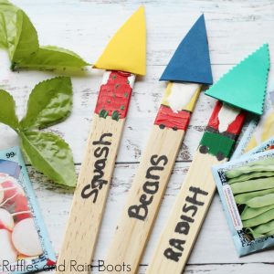 Garden Gnome Plant Markers Kid Craft