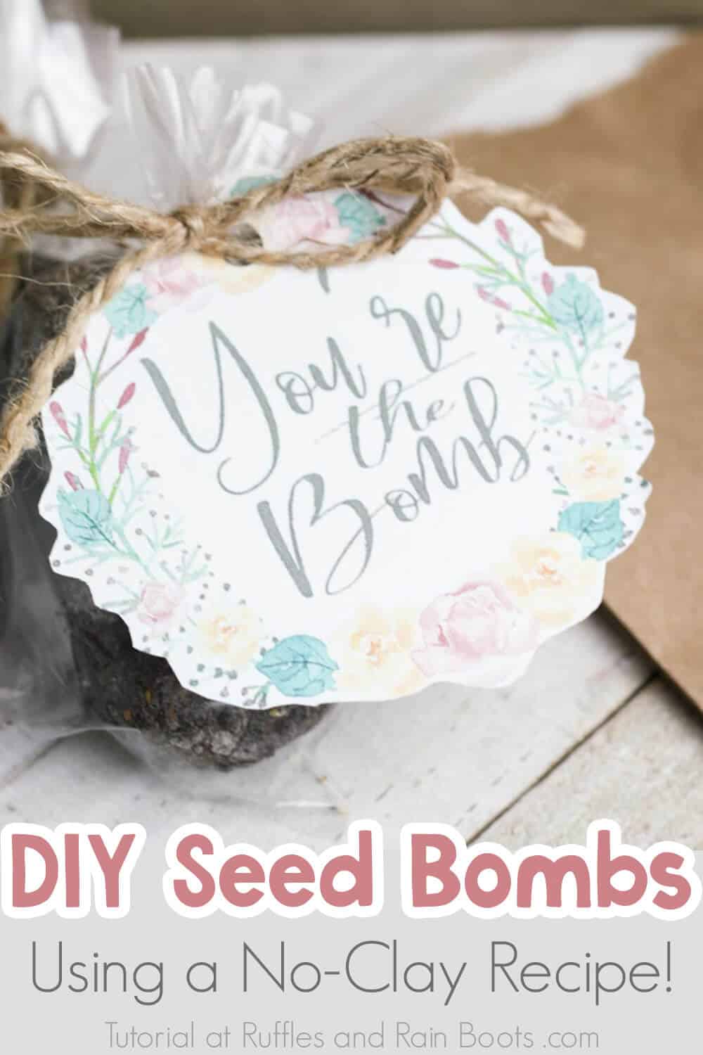 kid seed bomb recipe clay free with text which reads diy seed bombs using a no0clay recipe!