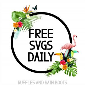 tropical illustration on white background with text which reads free SVGs daily