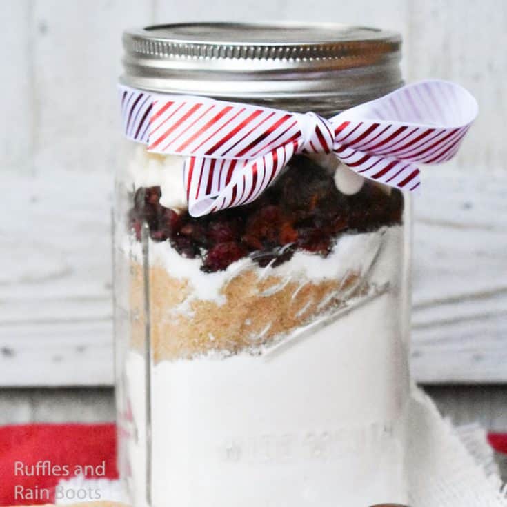 neighbor gift of white chocoalte and cranberry cookies on a white background