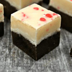 Peppermint Bark Fudge Recipe S