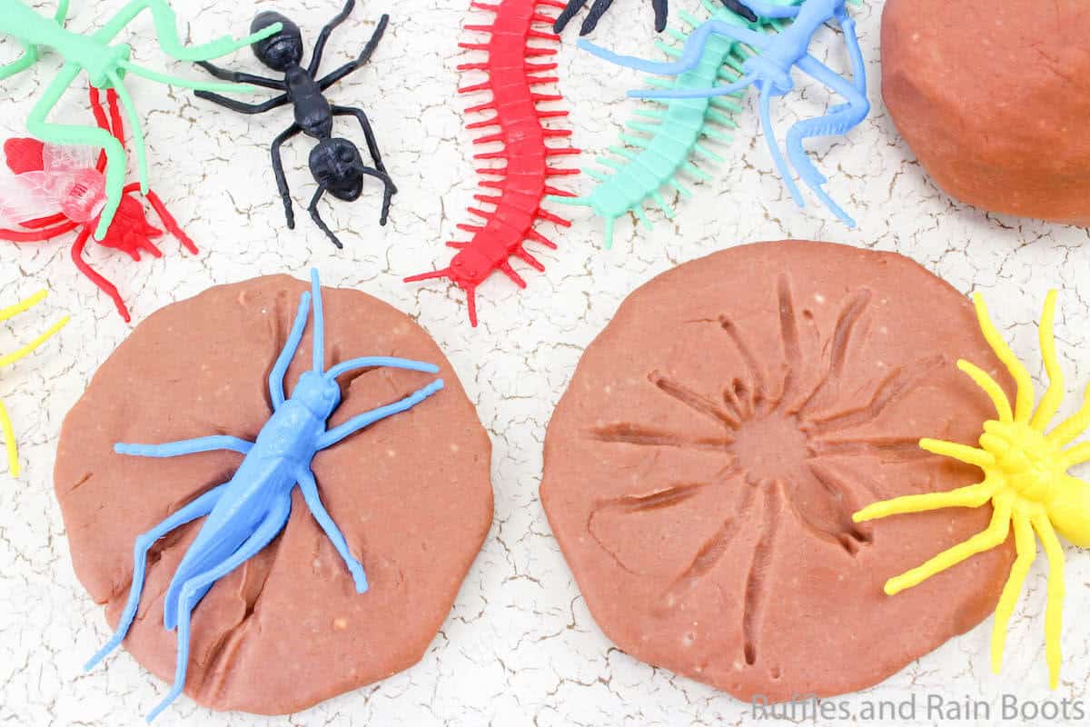 how to make bug exploration play dough