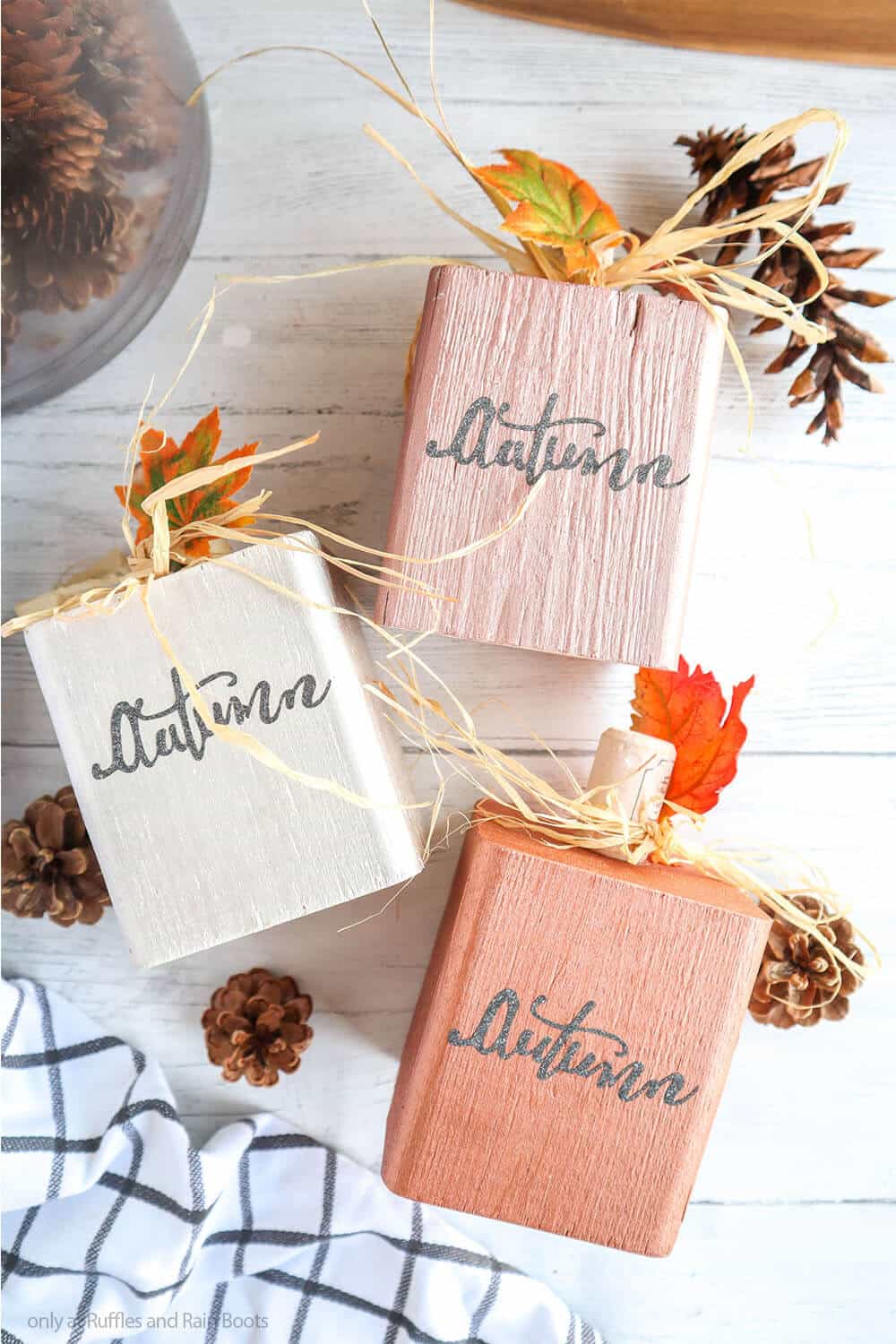 overhead view of three autumn crafts for cricut joy