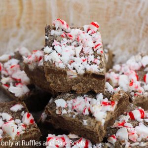 Dark Chocolate Peppermint Fudge Wins Holiday Treat of the Year!