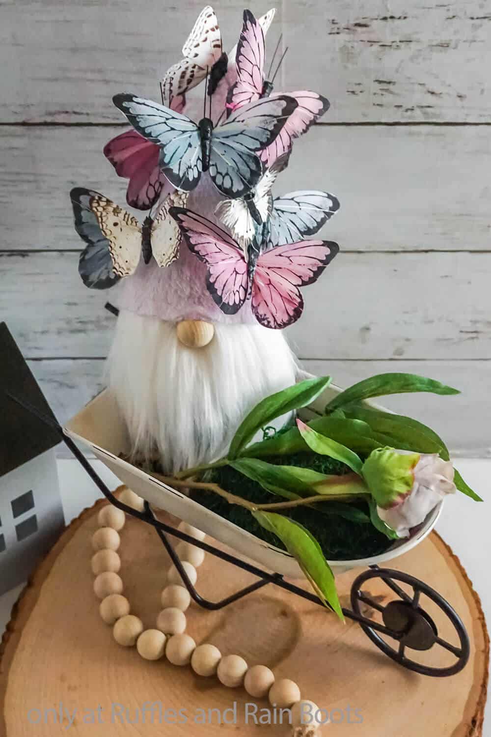 Vertical close up image of a butterfly hat spring gnome with white fur beard beard and wooden nose, sitting in a mini wheelbarrow with flowers.