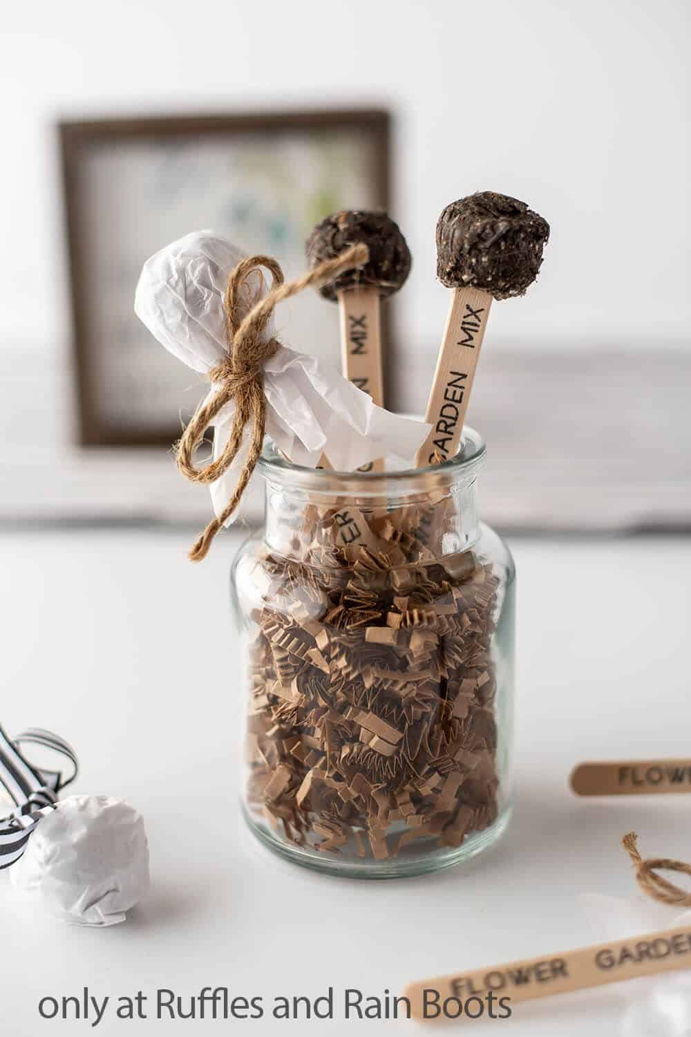 cricut seed marker craft with seed bombs