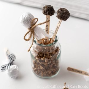 These DIY Seed Pops and Garden Markers are the Best Spring Cricut Craft!