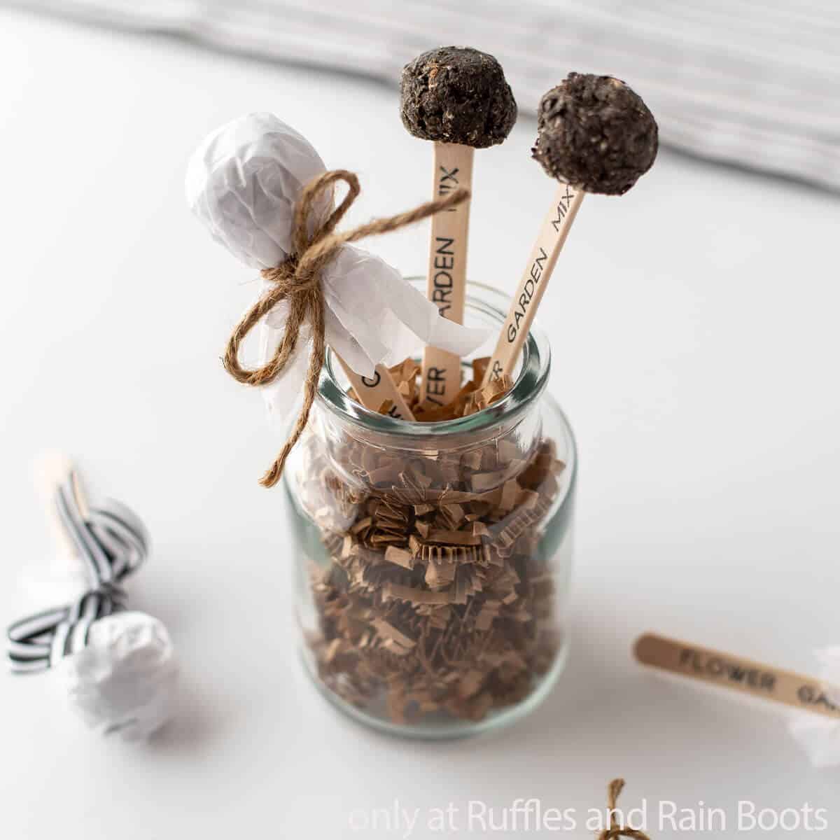 diy seed pops and garden markers cricut craft