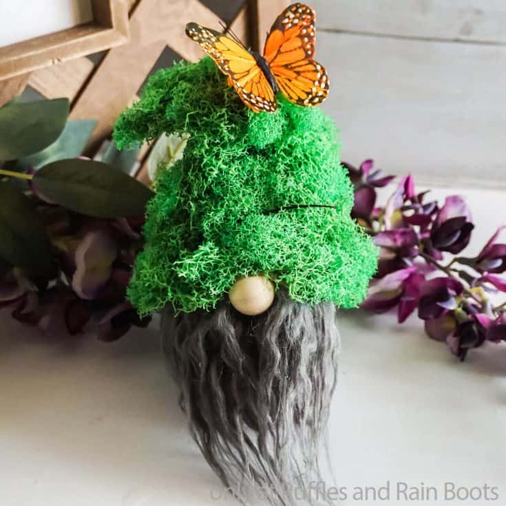close up of moss gnome using wild gnome pattern
