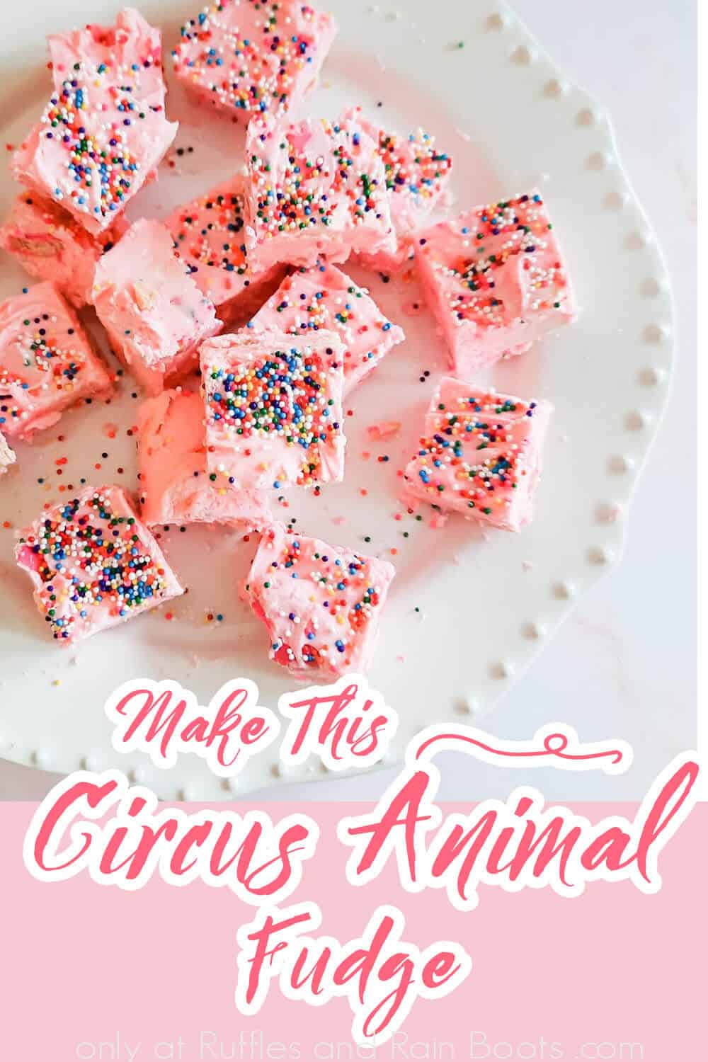 easy fudge recipe for kids with text which reads make this cricus animal fudge