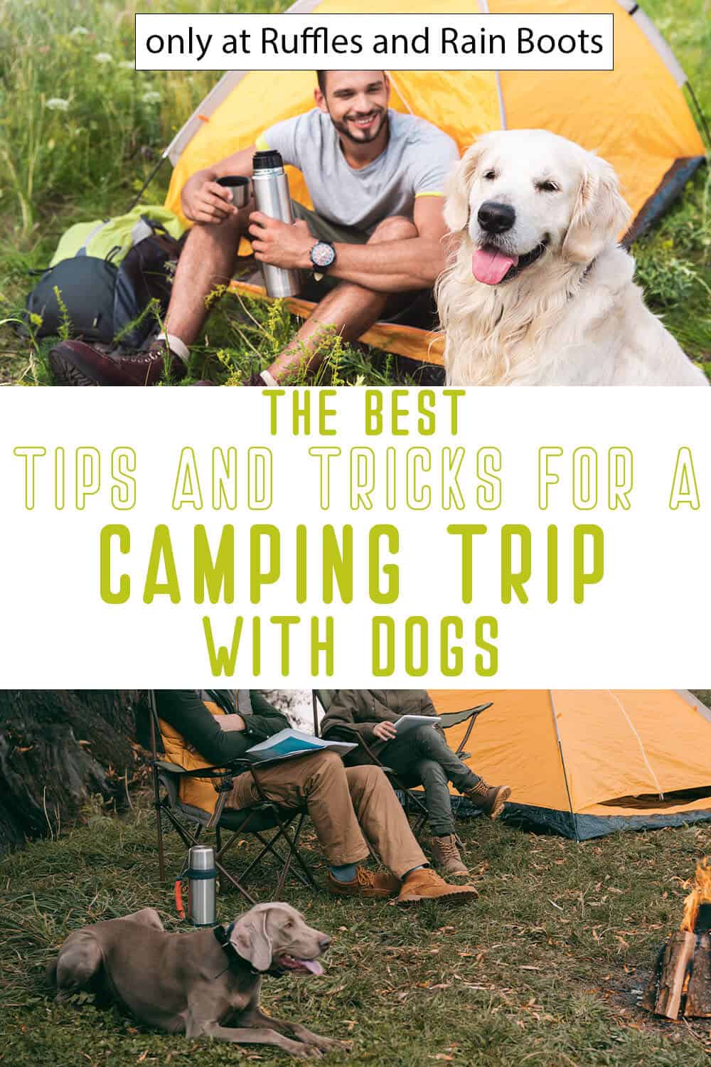 photo collage of hacks for camping with your dog with text which reads the best tips and tricks for a camping trip with dogs