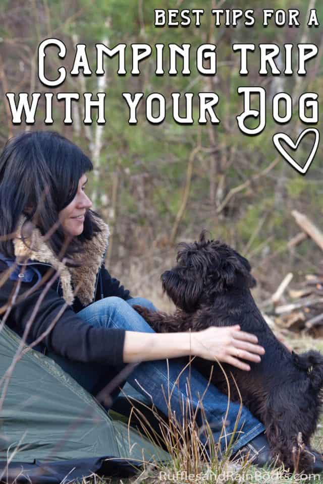 10 Best Tips to Take Your Dog Camping