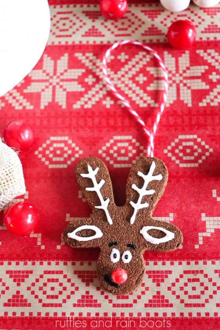 Make No Bake Spice Ornaments with Cinnamon, Applesauce, and Glue