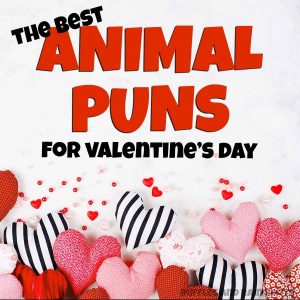 Animal Valentine Puns: Animal Sayings for Cards and Tags