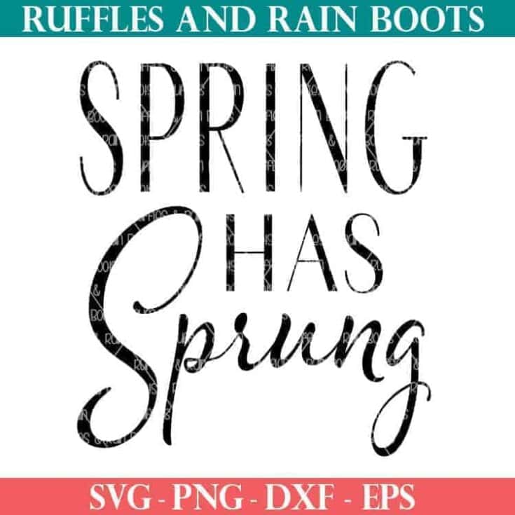 Image for Spring Has Sprung SVG File Set