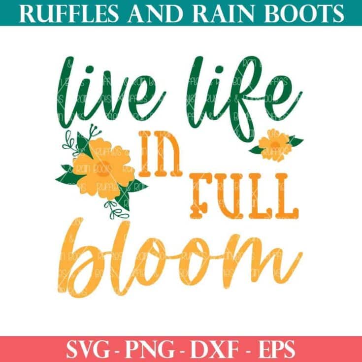 Image for Free Live Life in Full Bloom SVG