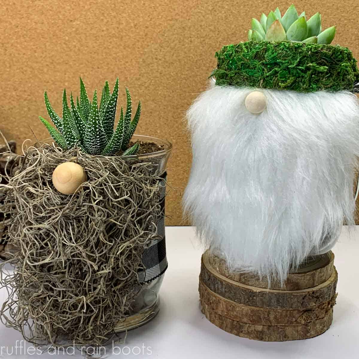 Square close up image of a Spanish moss gnome planter and a succulent gnome with a fur beard in front of a cork back ground on a white table.