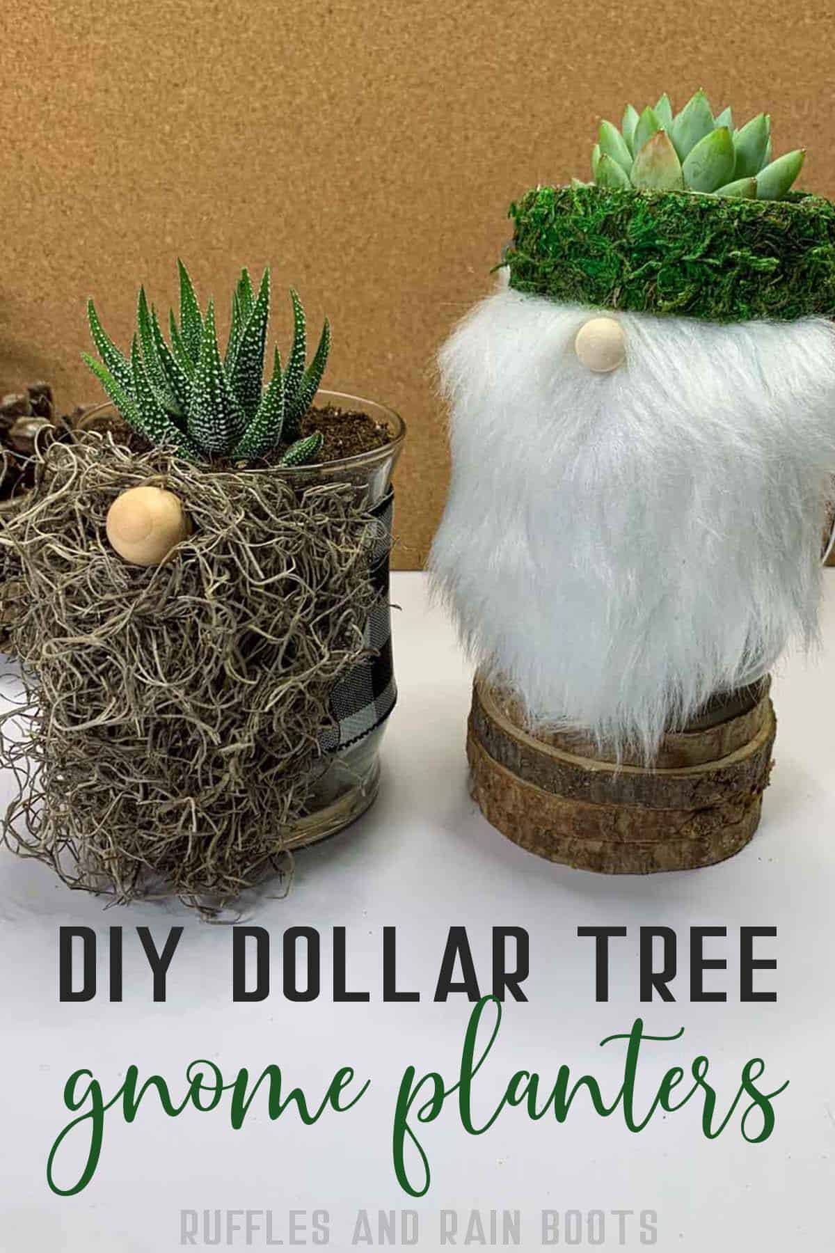 Two mini succulent gnomes with Spanish moss and fur beards in front of a cork background with text which reads DIY dollar tree gnome planters.