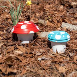 Clay Pot Mushrooms for the Garden