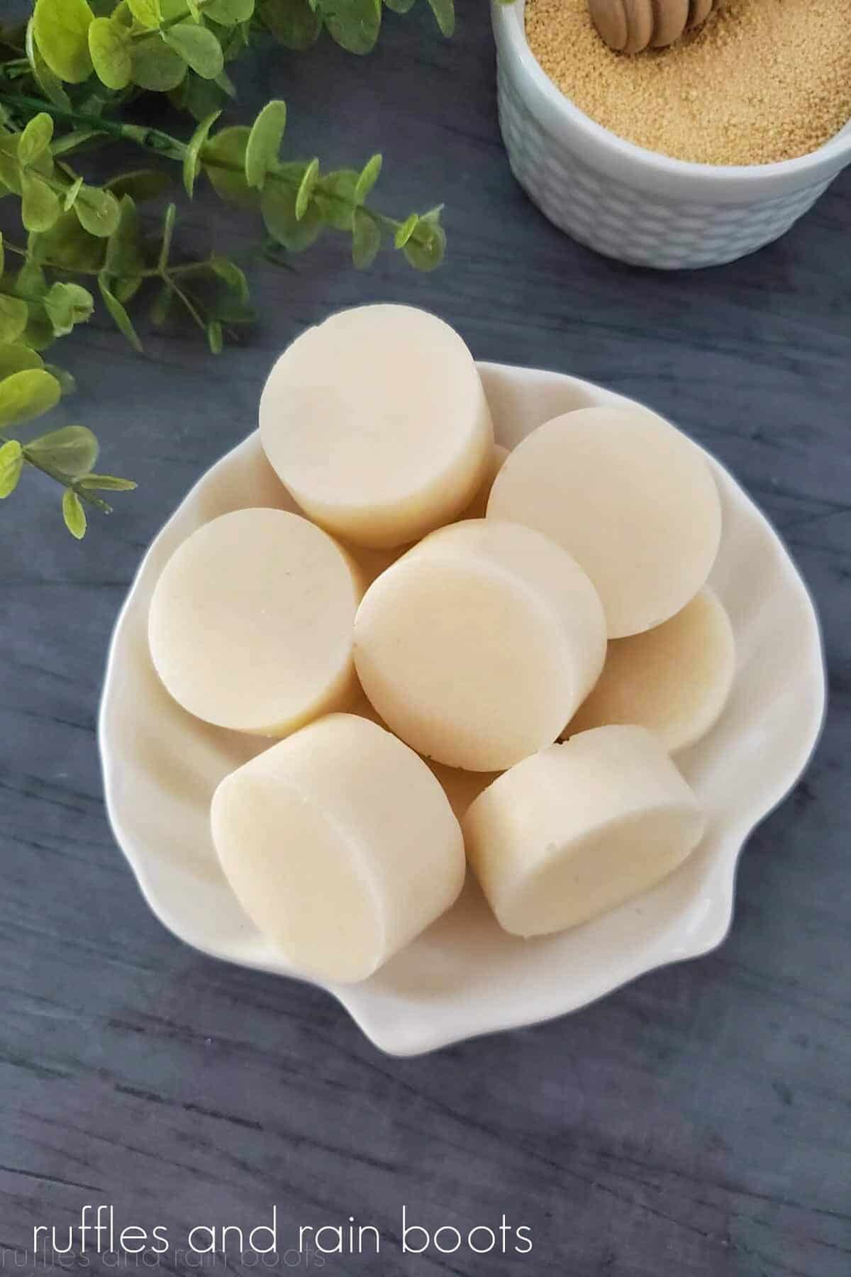 Overhead photo of Natural Honey Sugar Scrub Bars in a clamshell dish, with faux greenery and a small white ramekin filled with powdered honey on a grey weathered wood surface.