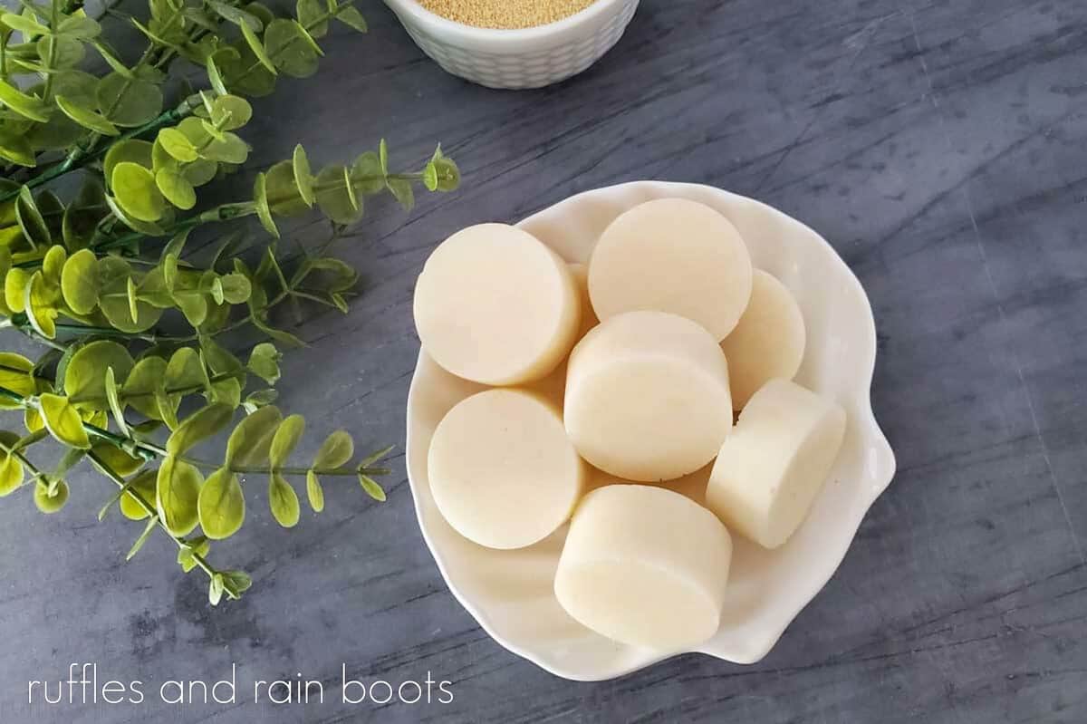 Horizontal Vertical photo of Natural Honey Sugar Scrub Bars in a clamshell dish, with faux greenery and a small white ramekin on a grey weathered wood surface.