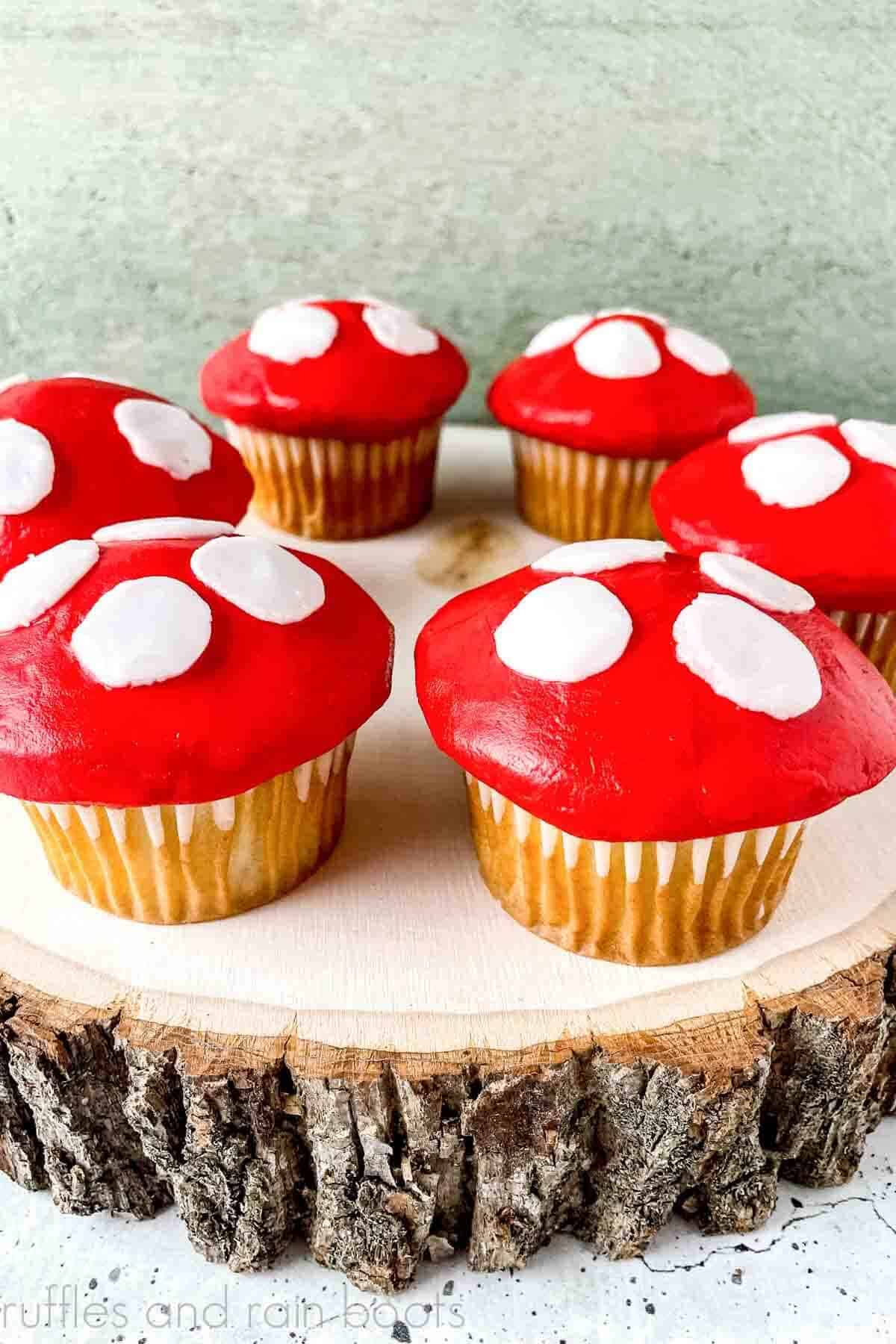 Vertical close up image of red and white mushroom cupcakes placed on a wood round on concrete background.