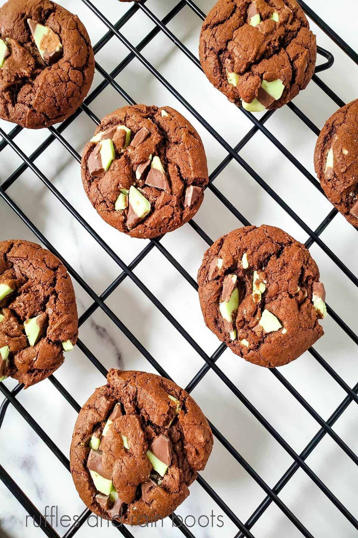 Overhead view of 7 Chocolate Mint Cake Cookies on a metal cooling rack