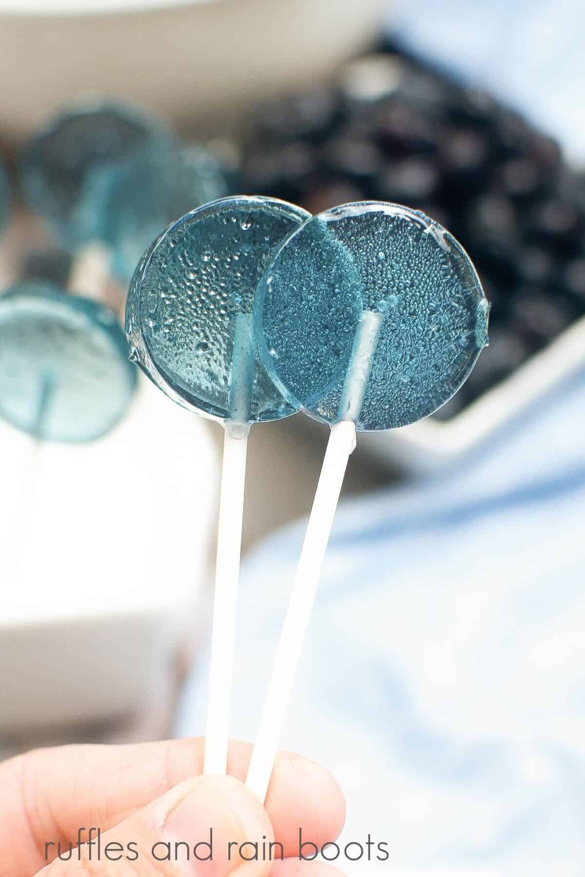 A hand holding two blueberry lollipops with a bowl of fresh blueberries in the background next to a blue towel.