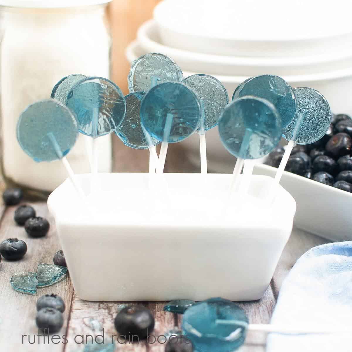 Several homemade blueberry lollipops are in a white container next to a white square dish of fresh blueberries on a weathered wood surface.