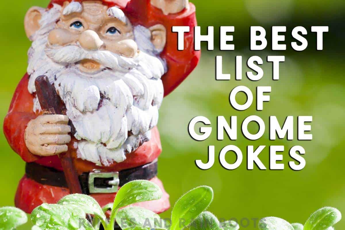 Horizontal image of a close up of a red garden gnome with text which reads the best list of gnome jokes.