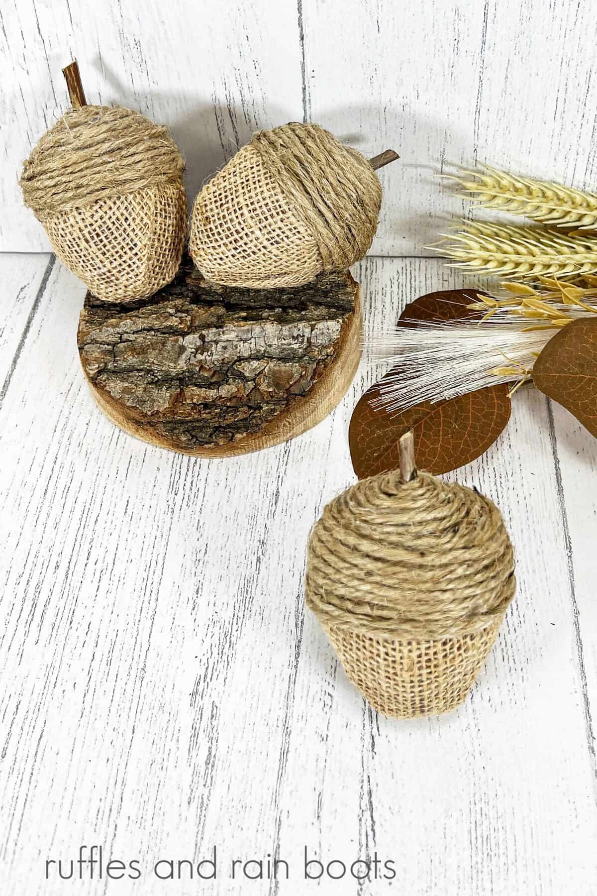 An overhead vertical image of a finished Dollar Tree Easter egg acorns next to additional acorns and a fall themed bird's nest against a white weathered wood background.