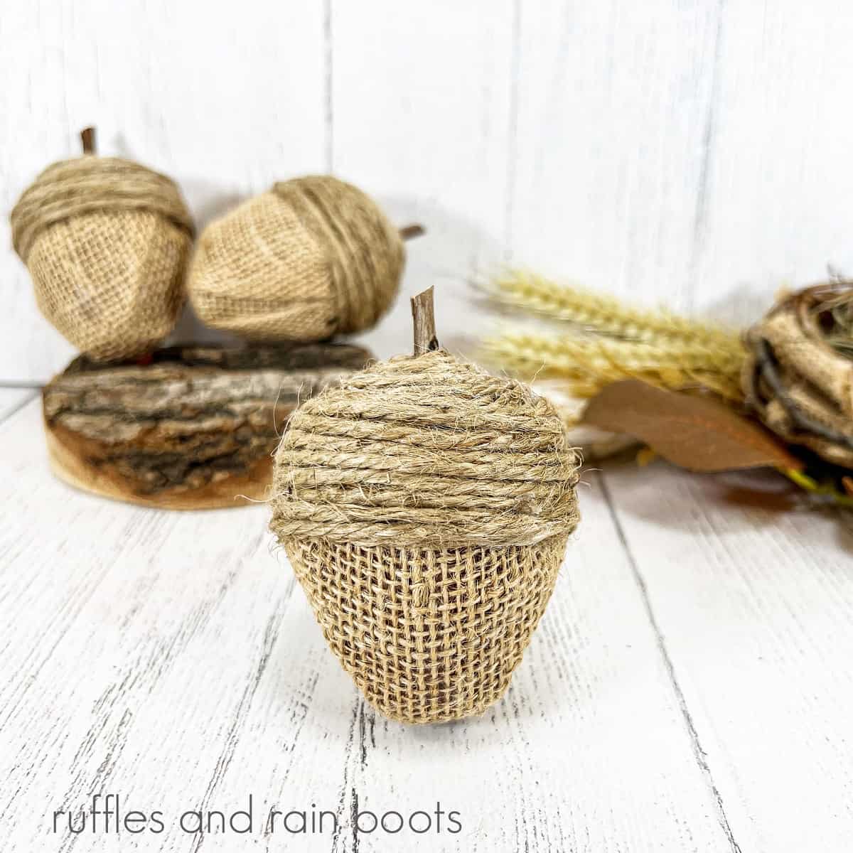 A close up image of a finished Dollar Tree Easter egg acorns next to additional acorns and a fall themed bird's nest against a white weathered wood background.