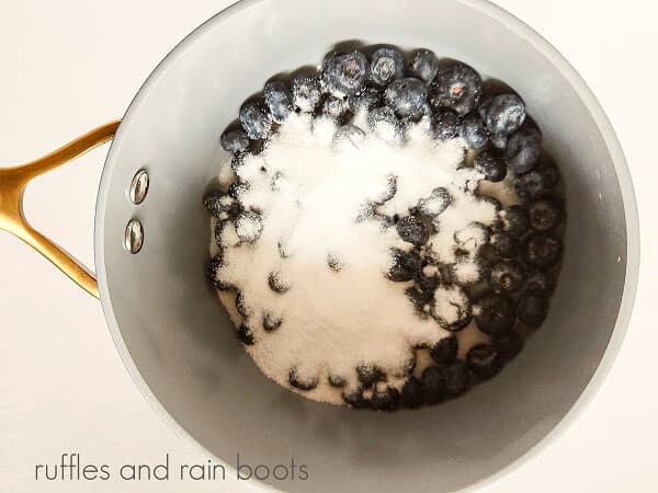 A saucepan filled with fresh blueberries, sugar and water against a white background.