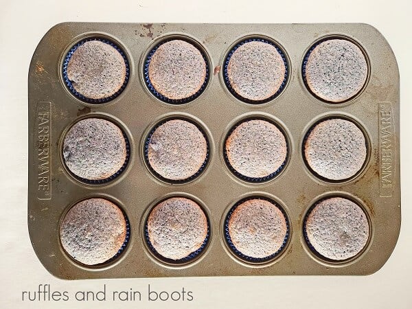 Overhead image of unfrosted blueberry cupcakes in a baking against a white background.