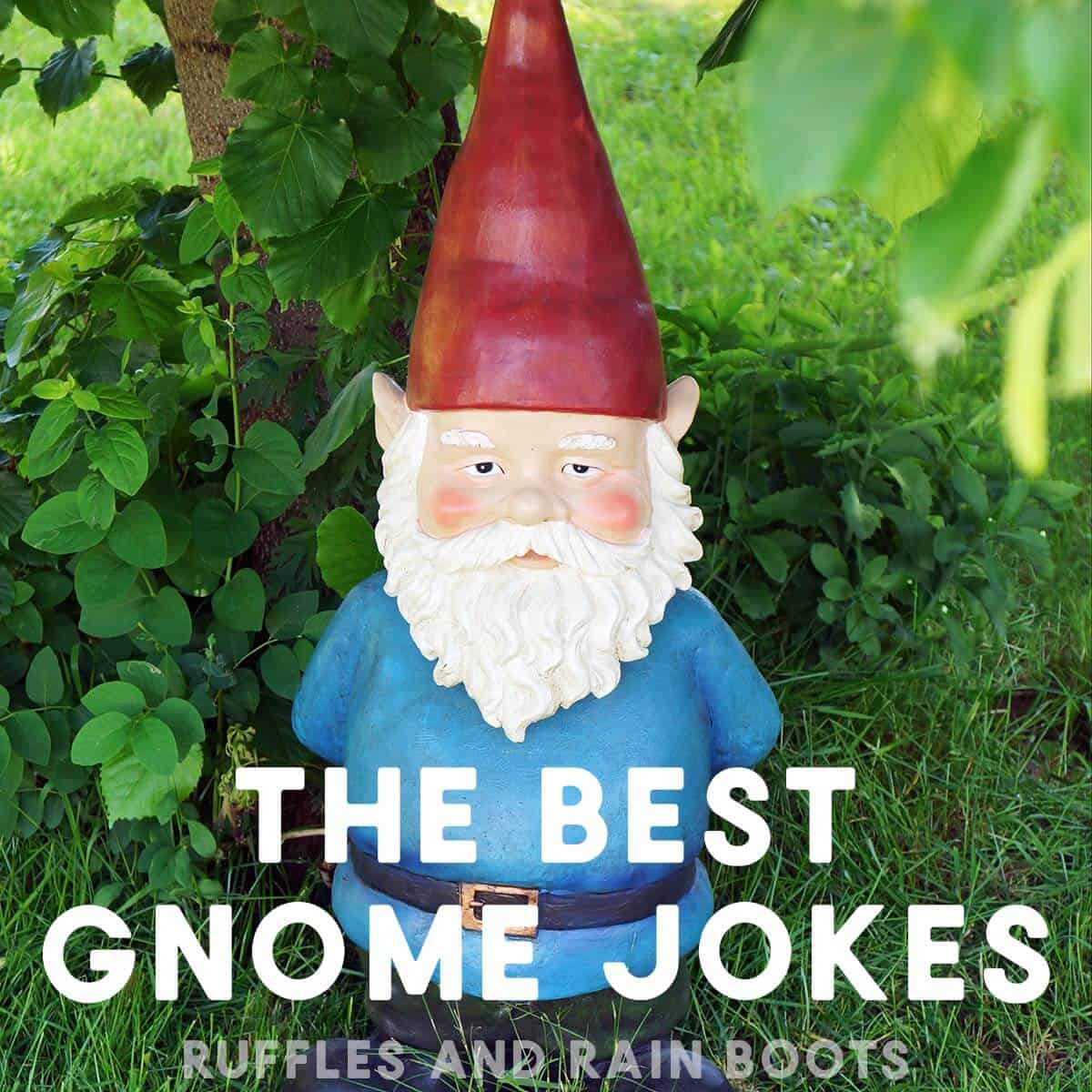 Gnomesaying  Terrible puns, Funny pictures, Funny