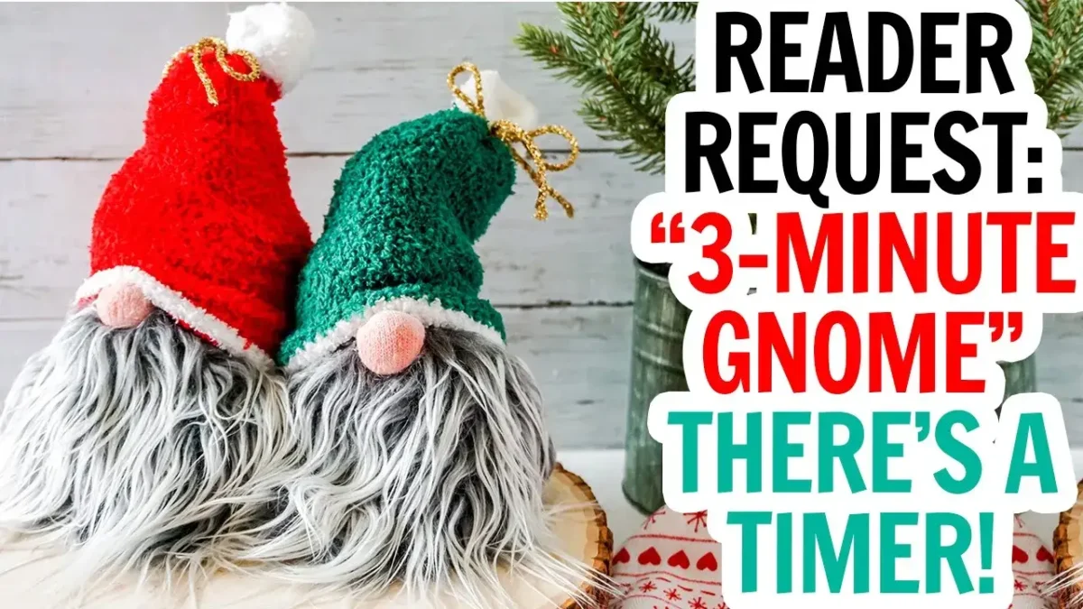 Horizontal image of two gray bearded gnomes with red and green hats with text which reads reader request: 3 minute gnome.