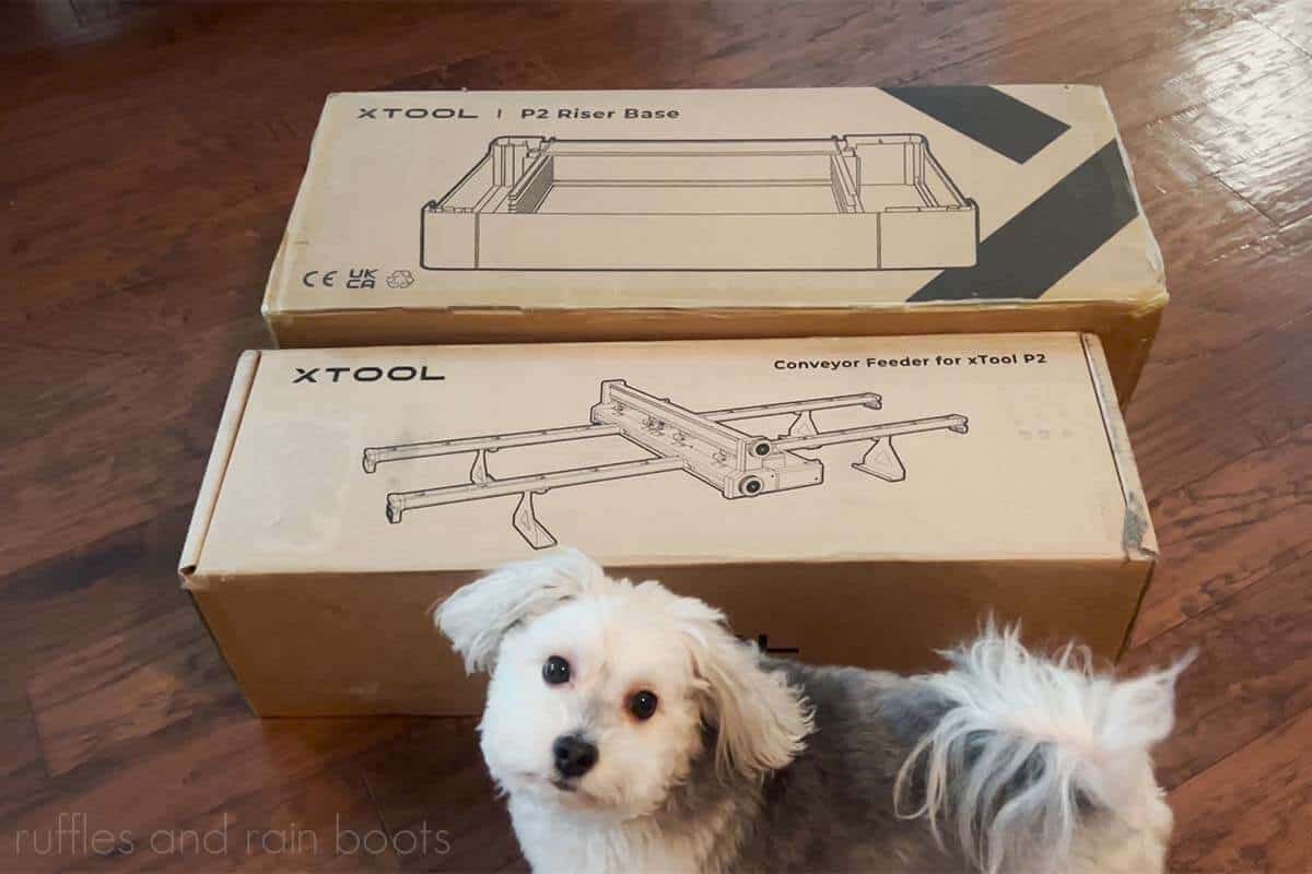 Horizontal image of an xTool P2 Riser Base box and a conveyor feeder on a wood floor with a small white and gray Havanese dog.