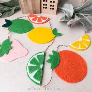 Square image showing a brightly colored felt garland of fruit and baker's twine.