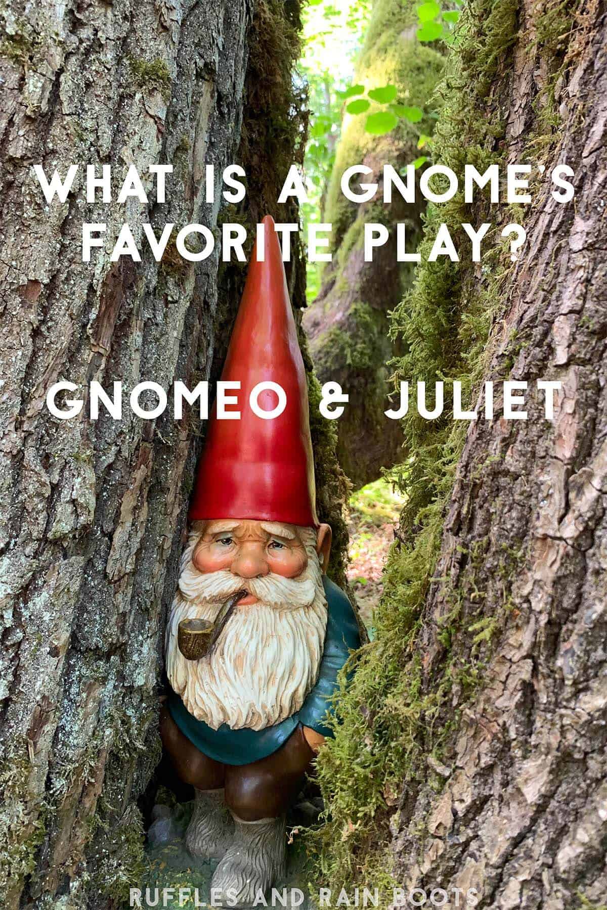 Vertical image of a gnome with a red hat in a Washington state forest between two trees with a gnome joke in text on the image.