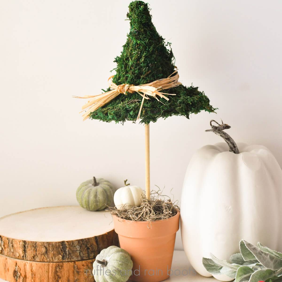 Square, close up image of a mossy witch hat topiary using Dollar Tree materials.